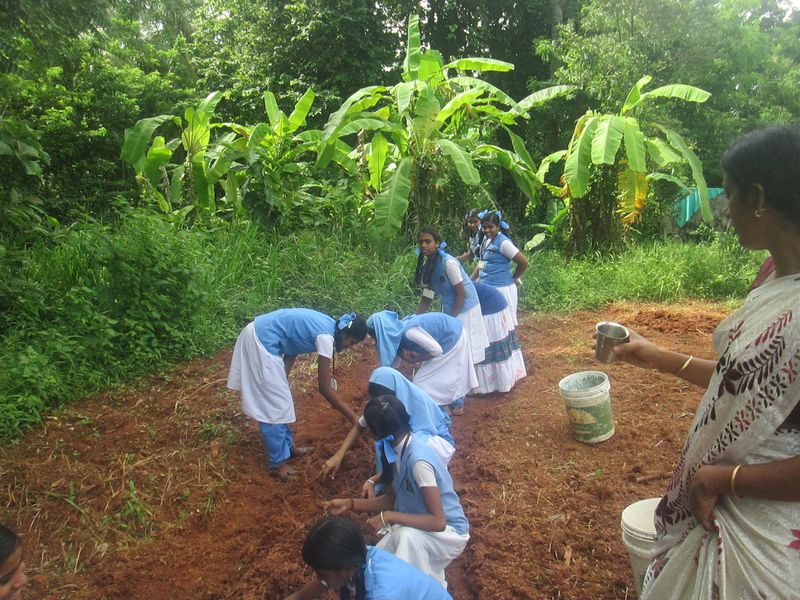 പ്രമാണം:24071 ECO11.JPG