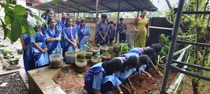 25045-environment day-26.jpeg