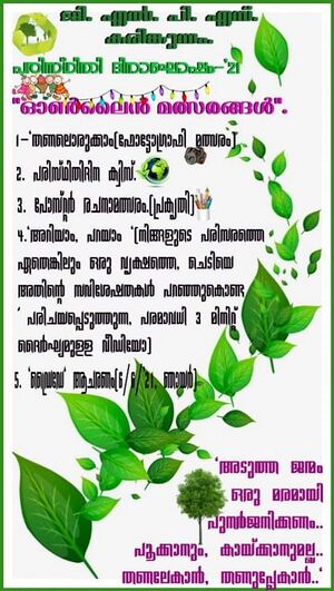 29312 duringcovid59.jpg