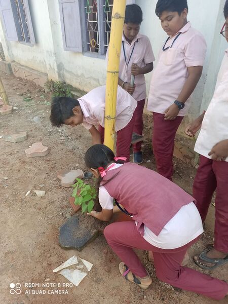 പ്രമാണം:35231 ECO4.jpg