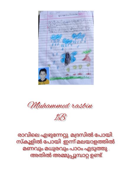 പ്രമാണം:48554-MUHAMMED RASBIN.jpeg