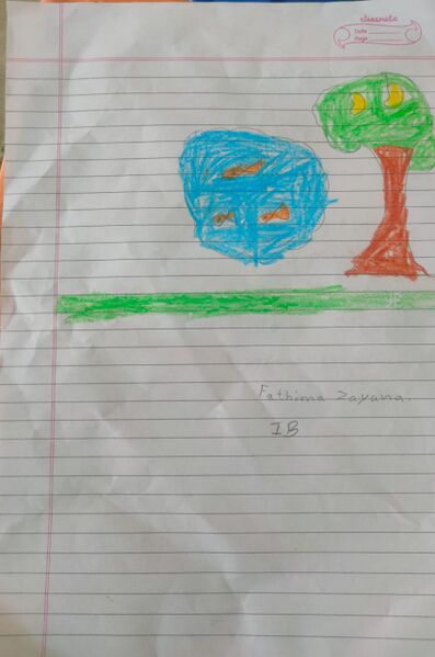 പ്രമാണം:5354-WYD-KUNJ-FATHIMA ZAYANA.jpeg