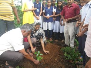 Environment Day Celebration.JPG