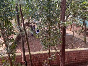 12013 School Campus.jpeg