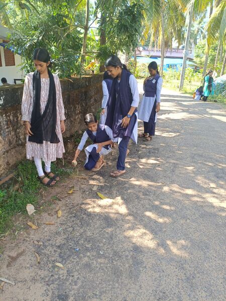 പ്രമാണം:12069 sanitation4.jpg