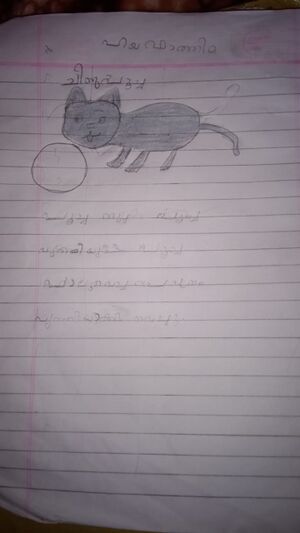 14442-KNR-KUNJ-HAYA FATHIMA.jpg