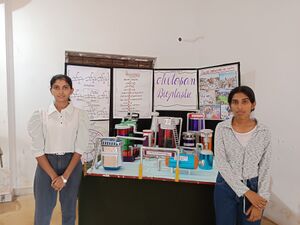 16041-Science fair1.jpg