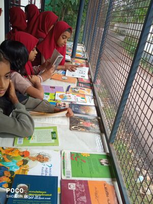 16635 perode mlp school.jpg