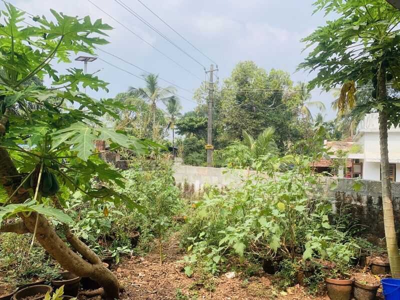 പ്രമാണം:18317 scl garden2024.jpg
