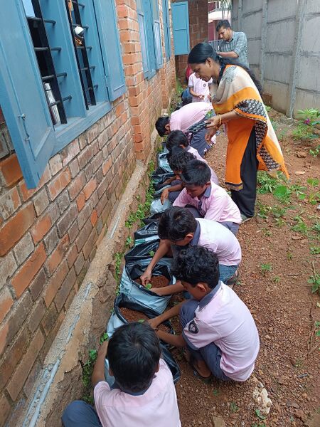 പ്രമാണം:19839 mlp.jpg