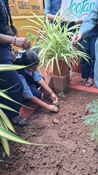 പ്രമാണം:22053-TSR-GOAL 2026-Planting.jpg