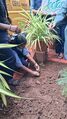 21:02, 20 ജൂൺ 2026-ലെ പതിപ്പിന്റെ ലഘുചിത്രം
