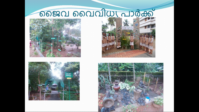 പ്രമാണം:24015-ECO2.png
