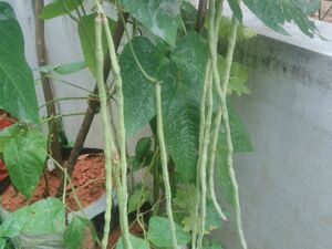 29312 environmentclub44.jpg