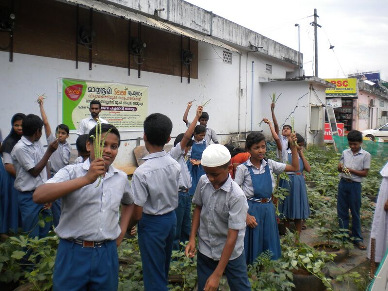 പ്രമാണം:29359 ancilit 36.JPG