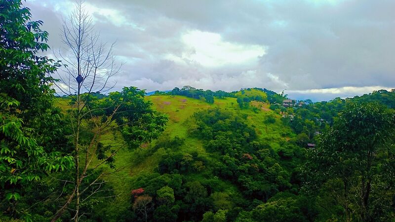 പ്രമാണം:30081 nature1.jpg