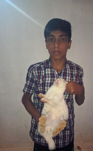 പ്രമാണം:47089 muyal.jpeg