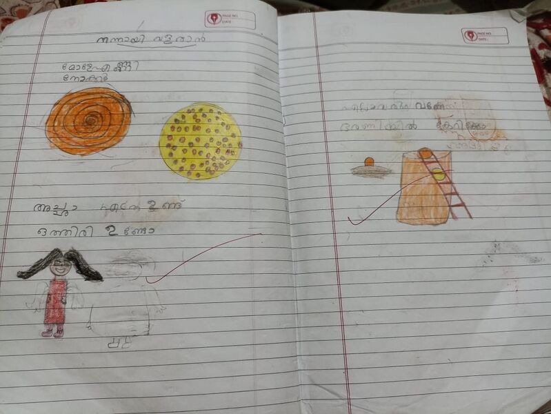 പ്രമാണം:ANAYA 1 D.jpg