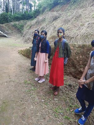 BS21 IDK 30084 2.jpg