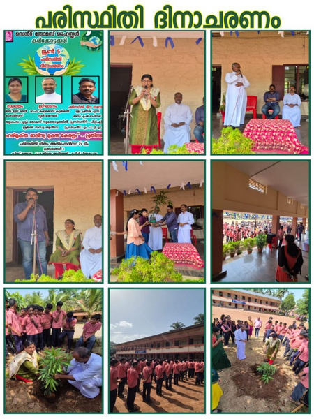 പ്രമാണം:Environmental day 2025.png