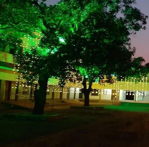 12555 1.resized.jpeg