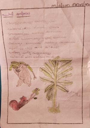 14425-KNR-KUNJ-ZAYANA ZAINABA.jpeg