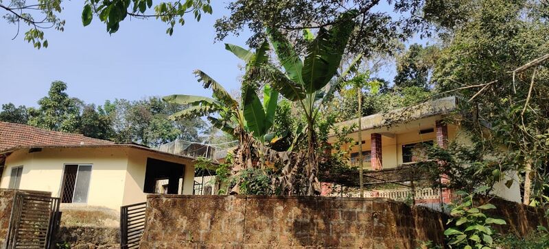 പ്രമാണം:14871 2022 Physical environment 5.jpeg