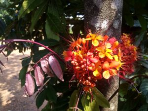 28012 SP 1920 301.jpeg