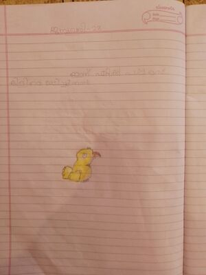 40435-KLM-KUNJU-SERAH SHIJU.jpg