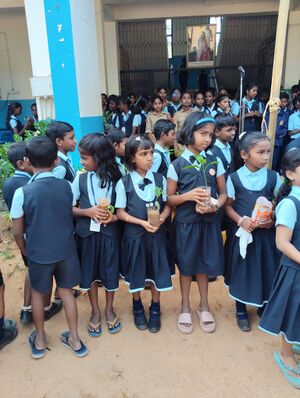 44011 Tree Exchange 2025-26 12.jpg