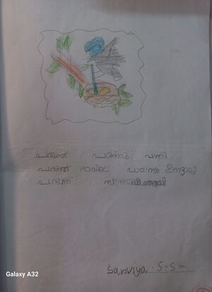 47556-KKD-KUNJ-SANVIYA S S.jpg