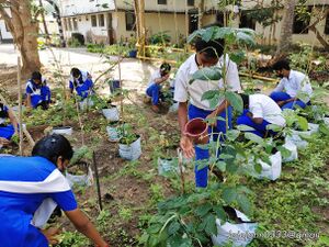 Adukkalathottam 35052 22 (2).jpg