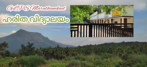 BS21 pkd 21833 7jpg (2).jpg