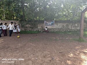 IMG 20260619 135342 Burst01-min.jpg