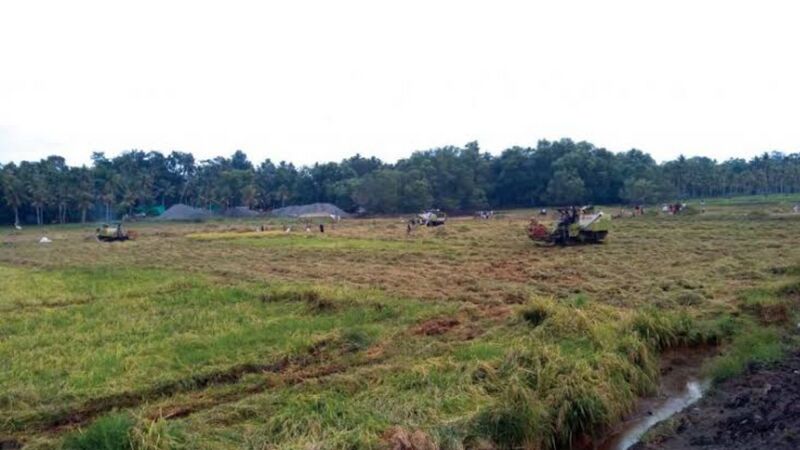 പ്രമാണം:KHADEEJA K N41093.jpg