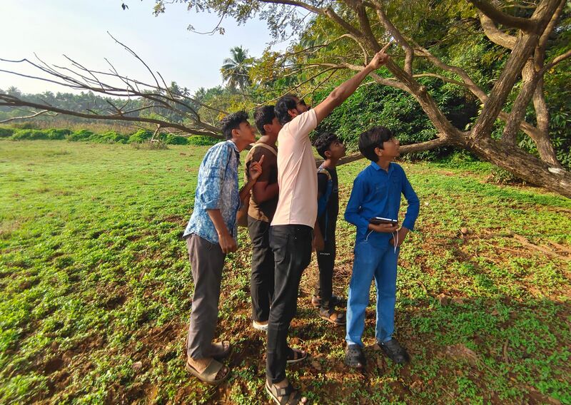 പ്രമാണം:11028 birdwatching.JPG