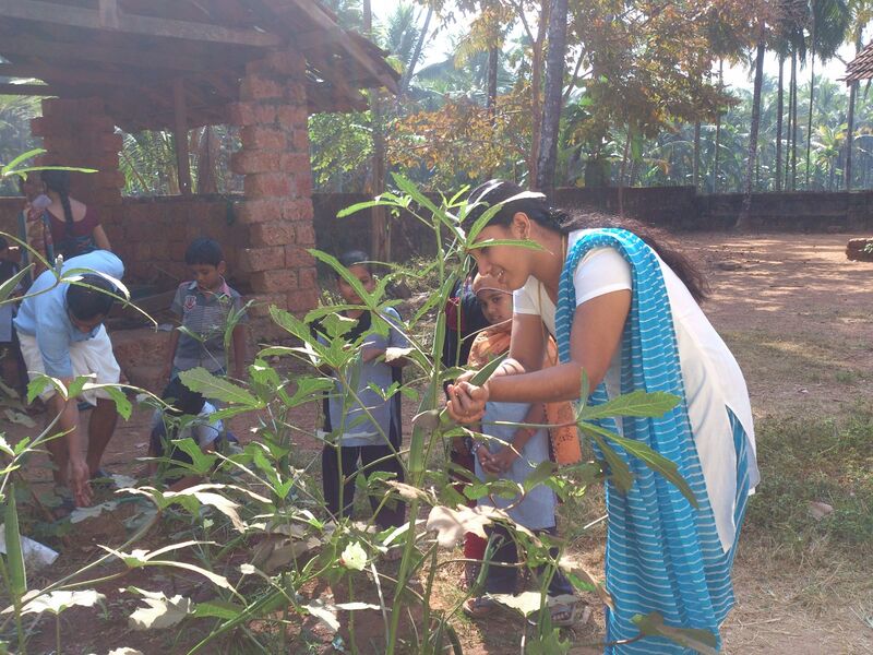 പ്രമാണം:14511 137 .jpeg