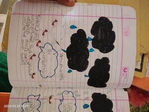 15205-wyd-kunj-avanthika r nair.jpeg