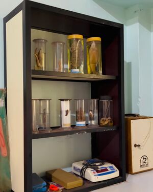 18103 science lab 4.jpg