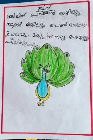 19317-MLP-KUNJ-RIFA FATHIMA T.jpeg