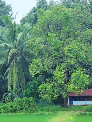 20004 kalladathr village1.jpg