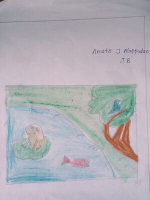 22222-TSR-KUNJ-ANISTO J ALAPPADAN.jpg