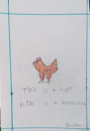 23314-TSR-K23314UNJ-SANA ROSE.jpeg