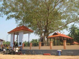 24271 Parkkadi Temple.jpg