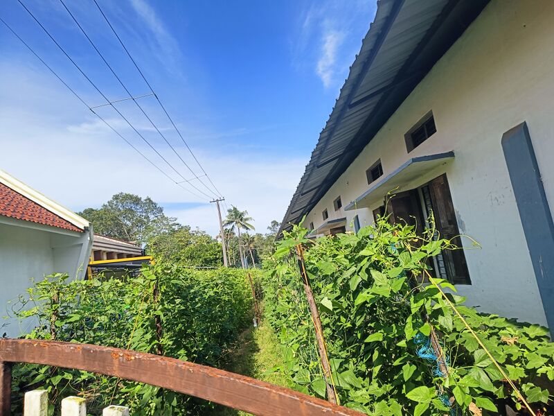 പ്രമാണം:34046 veg8.jpg