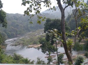 38079 Part of Perunthenaruvi waterfalls.jpg