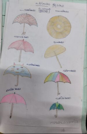 43239-TVM-KUNJ-SAFA FATHIMA.jpg