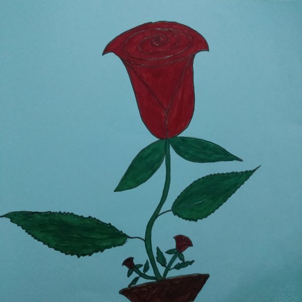 പ്രമാണം:44050 20 10 6.jpg