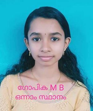 44055 SS1.resized.jpeg