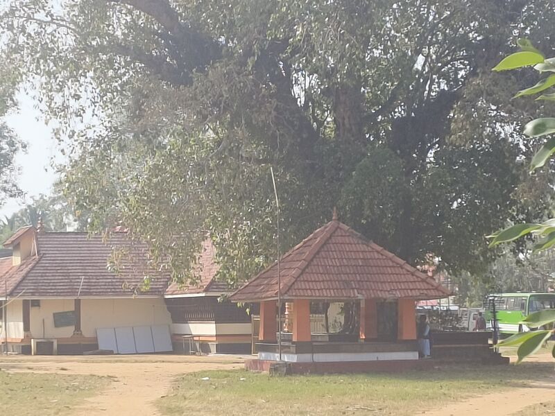 പ്രമാണം:Vallikeezhu devi temple.jpg